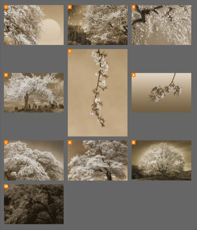 Reviewer Feedback　Hiroaki Hasumi　蓮見 浩明