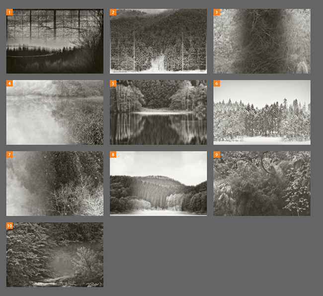 Reviewer Feedback　Alfo Maeta　前田 有歩