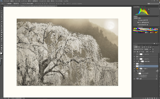 レタッチ及びプリントの作業内容