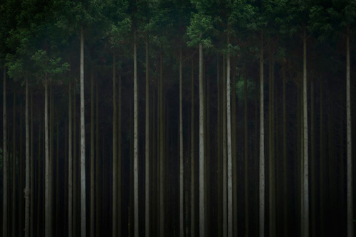 村田 光司　Koji Murata／「人の旋律」