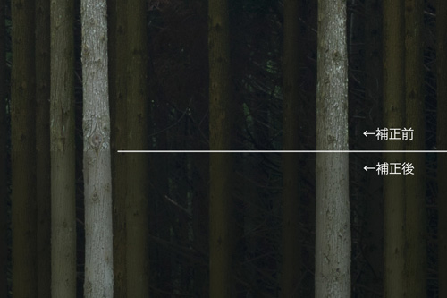 レタッチ及びプリントの作業内容