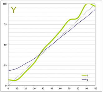 伊勢和紙　芭蕉（エプソンSC-PX3V） 黄