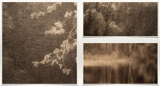 前田 歩（Alfo Maeta）さんの使用感