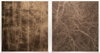 前田 歩（Alfo Maeta）さんの使用感