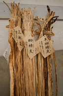 前田 歩（Alfo Maeta）さんの使用感