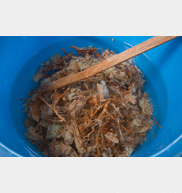 前田 歩（Alfo Maeta）さんの使用感