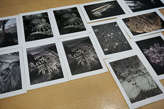 千代田路子（Michiko Chiyoda）先生の使用感