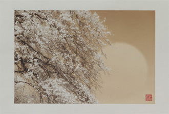 Impressions of usage the paper by Hiroaki Hasumi Impressions of usage the paper by Hiroaki Hasumi