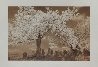 Impressions of usage the paper by Hiroaki Hasumi Impressions of usage the paper by Hiroaki Hasumi