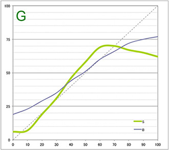 アワガミ　竹和紙（エプソンSC-PX3V） 緑