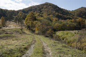 解像度とプリセット 設定前