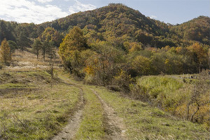 解像度とプリセット 設定後