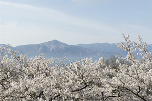 サブメニューを使って現像前の補正 設定前