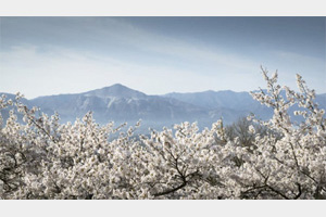 サブメニューを使って現像前の補正 設定後