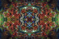 Report of Arles Photo Folio Review 2014 Kanako Sato 佐藤 かな子 Report of Arles Photo Folio Review 2014 Kanako Sato 佐藤 かな子