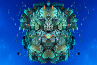 Report of Arles Photo Folio Review 2014 Kanako Sato 佐藤 かな子 Report of Arles Photo Folio Review 2014 Kanako Sato 佐藤 かな子