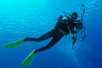 Report of Arles Photo Folio Review 2014 Kanako Sato 佐藤 かな子 Report of Arles Photo Folio Review 2014 Kanako Sato 佐藤 かな子