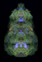 Report of Arles Photo Folio Review 2014 Kanako Sato 佐藤 かな子 Report of Arles Photo Folio Review 2014 Kanako Sato 佐藤 かな子