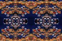 Report of Arles Photo Folio Review 2014 Kanako Sato 佐藤 かな子 Report of Arles Photo Folio Review 2014 Kanako Sato 佐藤 かな子