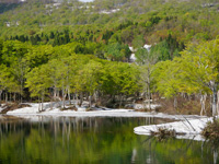 残雪と新緑がまぶしい地蔵池。Iso Photo Clubの会長さんに連れていっていただきました。