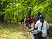 2日目は早朝から「十六羅漢岩」へ。その後、青い水の美しい丸池、元滝伏湧水を巡り、午後からはブナ林の美しい中島台レクリエーションの森を廻りました。
