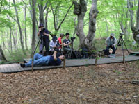 2日目は早朝から「十六羅漢岩」へ。その後、青い水の美しい丸池、元滝伏湧水を巡り、午後からはブナ林の美しい中島台レクリエーションの森を廻りました。