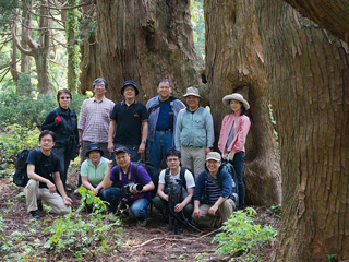 最後は、樹齢1,000年以上の圧倒的迫力の土湯杉が群生する「幻想の森」へ。