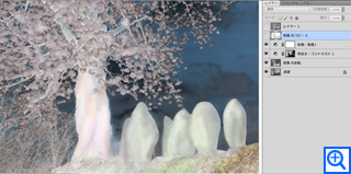 コノハナノサク ／ 佐藤素子 Motoko Sato