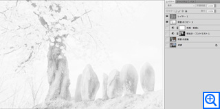 コノハナノサク ／ 佐藤素子 Motoko Sato