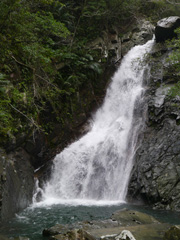 3日目は羽黒山出羽神社から。五重塔を撮影したあと、本殿までの2,446段を登りました。重いカメラバッグを担いで修行のよう……。