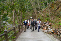 3日目は羽黒山出羽神社から。五重塔を撮影したあと、本殿までの2,446段を登りました。重いカメラバッグを担いで修行のよう……。