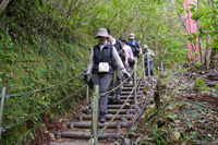 3日目は羽黒山出羽神社から。五重塔を撮影したあと、本殿までの2,446段を登りました。重いカメラバッグを担いで修行のよう……。