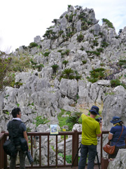 3日目は羽黒山出羽神社から。五重塔を撮影したあと、本殿までの2,446段を登りました。重いカメラバッグを担いで修行のよう……。