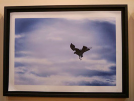 佐々木一弘さんの作品