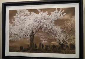 蓮見浩明さんの作品