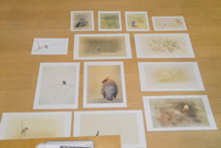 それぞれのProject