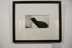 同時開催のひとつは20世紀のアメリカを代表するアーノルド・ニューマン