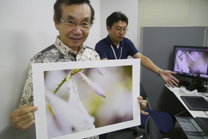 アート紙プリント体験会