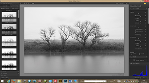 美しいプリントのためのPhotoshop基本講座