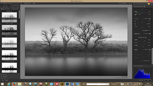 美しいプリントのためのPhotoshop基本講座
