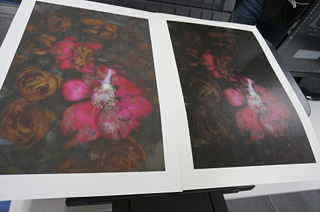 アート紙補正・出力体験&Photoshop 個人相談会