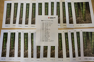 参加者に渡された手づくりの資料