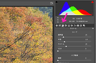 特大プリントのためのレタッチの注意点（蓮見浩明・佐々木一弘）