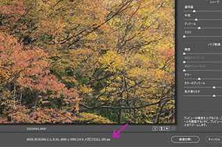 特大プリントのためのレタッチの注意点（蓮見浩明・佐々木一弘）
