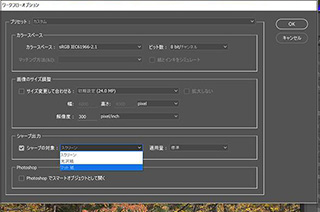 特大プリントのためのレタッチの注意点（蓮見浩明・佐々木一弘）