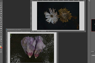 作品発表（佐藤裕保）