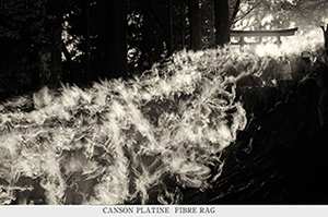 CANSON PLATINE FIBRE RAG