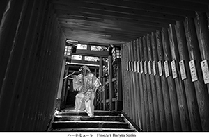 ハーネミューレ FineArt Baryta Satin