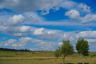 招待作家が7チームに分かれて、カザフスタンのあちこちに撮影へ