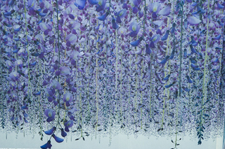 写真家・小川勝久さんをお招きしてセミナーとレビューを行ないました。